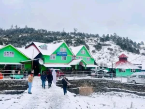 पर्यटकीय क्षेत्र कालिञ्चोकमा बाक्लो हिमपात