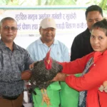 रत्ननगर- १५ का सुत्केरीलाई पौष्टिक आहार : जीउदो कुखुराको भाले र घ्यू